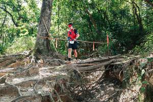 BIB: 
                            <button type="button" onclick="openModal(27800735)" class="btn btn-primary btn-sm float-right btn-popup" data-toggle="modal" data-target=".modal-high-quality">
                        <i class="fas fa-shopping-cart"></i> Add to Cart
                    </button>
                                            <button type="button" onclick="isThisMe(27800735, true)" class="btn btn-success btn-sm float-right btn-popup btn-isme hidden" data-toggle="tooltip" data-placement="bottom" title="นี่คือรูปของคุณใช่ไหม คลิกที่นี่เพื่อเอาเข้าอัลบั้ม">
                        <i class="fas fa-plus"></i> Add to album
                    </button>
                    <button type="button" onclick="isThisMe(27800735, false)" class="btn btn-warning btn-sm float-right btn-popup btn-isnotme hidden">
                        <i class="fas fa-ban"></i> Remove from album
                    </button>